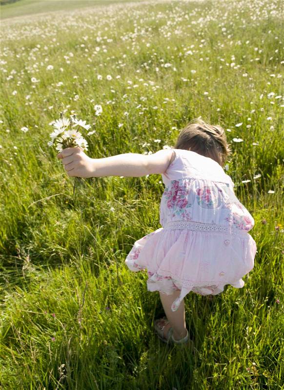 Girl picks wild flowers in meadow, stock photo