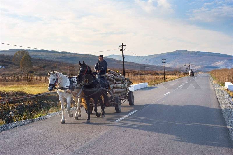 Hateg, Romania - October 25, 2011: Man driving horse cart by the country road Horse cart on Romanian roads are a kind of landmark, stock photo