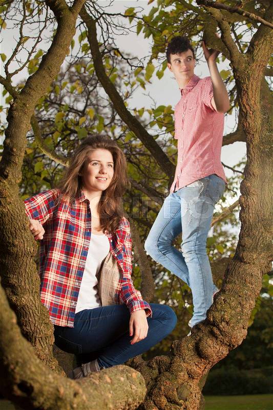 Teenage couple climbing tree in park, stock photo
