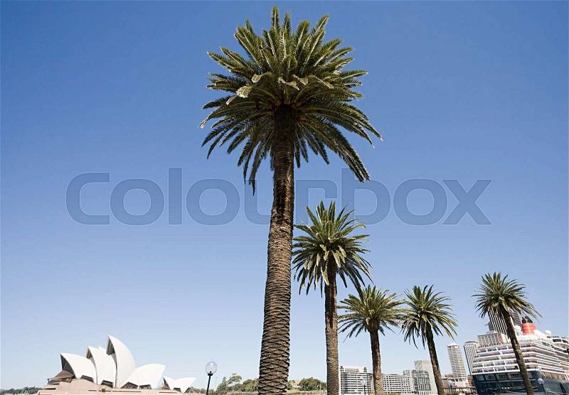 Palm trees and sydney opera house, stock photo