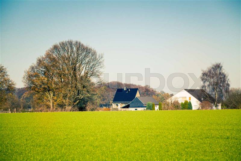 Farm Landscape. green field. Farmland fields, stock photo