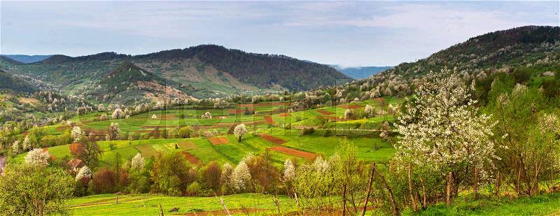 Spring Mountain panorama landscape. Valley with blooming trees. Apple orchards blossom on mountain hills. Panoramic view of Carpathian / Tatras mountain range with blooming trees on a beautiful spring day, stock photo