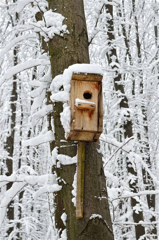 Birdhouse, protection from cold and bad weather for birds, stock photo