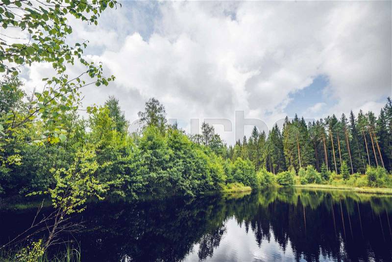 Dark lake in a forest with green trees reflecting in the water in the summer, stock photo
