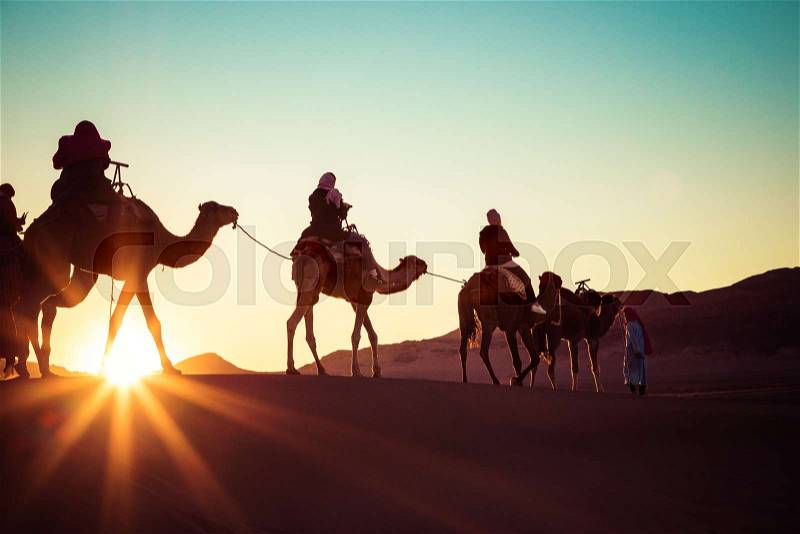 Camel caravan with people going through the sand dunes in the Sahara Desert. Morocco, Africa, stock photo