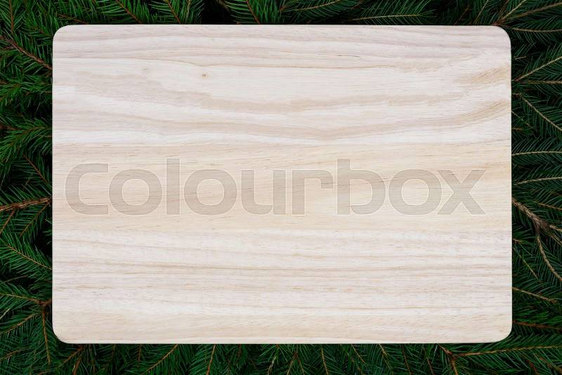 Concept of forest advertisement mock-up - bright wooden plank on a background of spruce branches, stock photo
