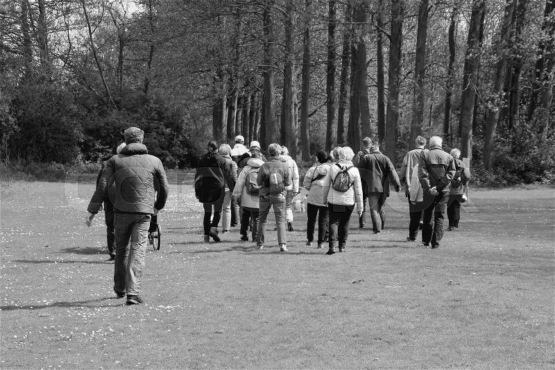 The guide with the interesting people are walking over the grassland in the park between the trees of the village Abbenbroek in the beautiful spring, stock photo