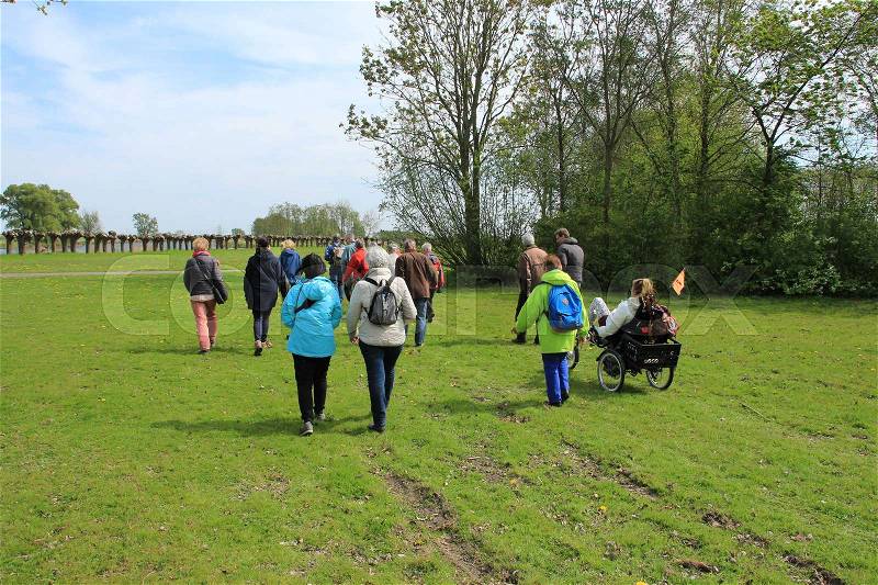 The guide with the interesting people and a woman in a mobility scooter are walking over the grassland in the park between the trees of the village Abbenbroek in the beautiful spring, stock photo