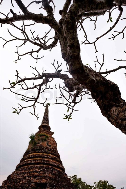 Old pagoda and died tree. Buddhism tower with gray sky on background, stock photo