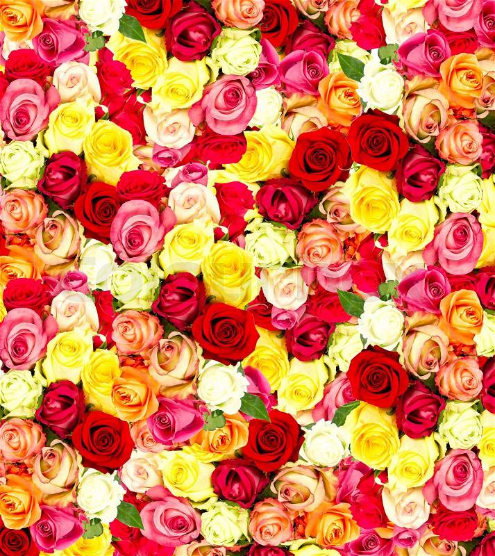Colorful flowers wallpaper, stock photo