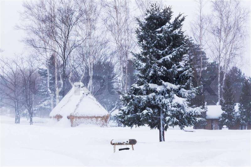 Trees and huts in public park in Hokkaido, Japan covered with thick white snow during winter, stock photo