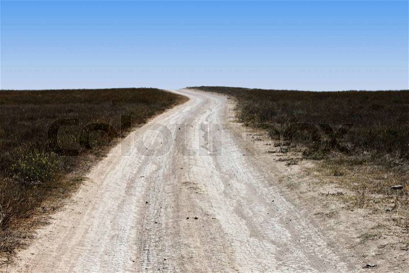 Rural road to horizon, stock photo