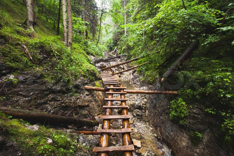 Abandoned old wooden bridge over the mountain river in deep wild lush jungle forest. Road to nowhere. Outdoor extreme activities. Wild nature. Travel nature background, stock photo