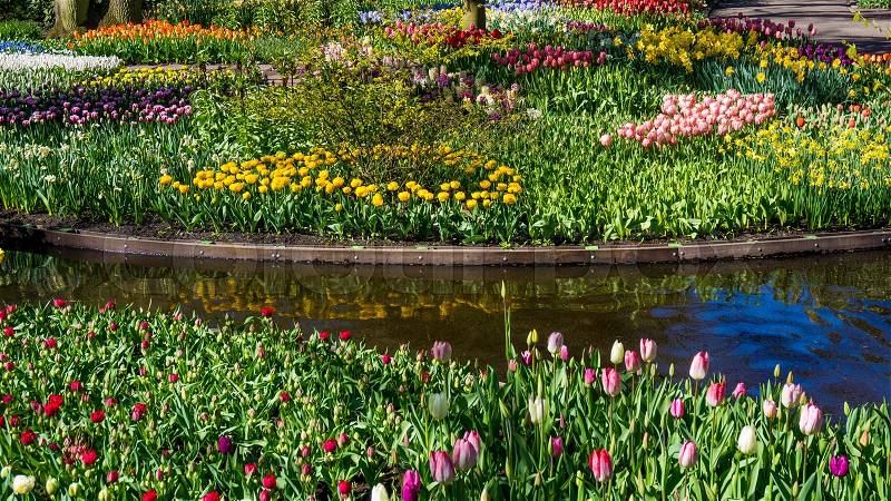 Spring Formal Garden. Beautiful garden of colorful flowers, stock photo