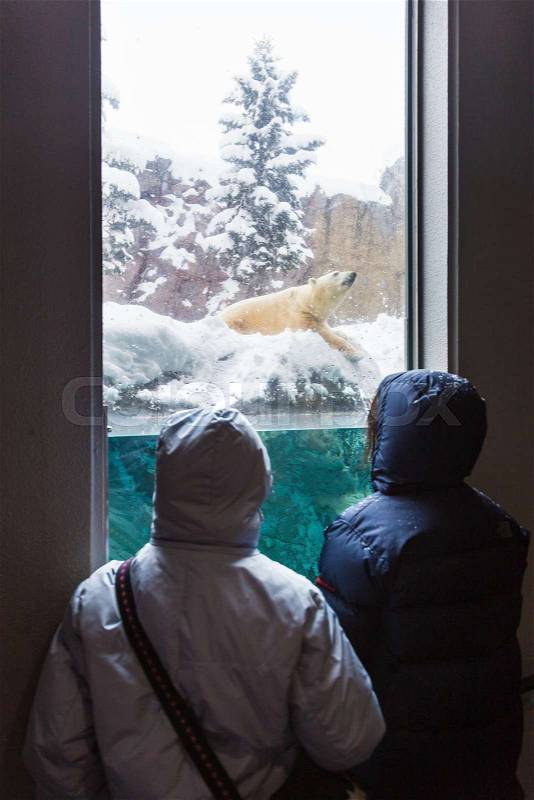 Tourists watching polar bear through a glass window at a zoo on a cold winter day, stock photo