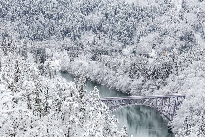 Winter landscape snow covered trees with train crossin River on Bridge, stock photo