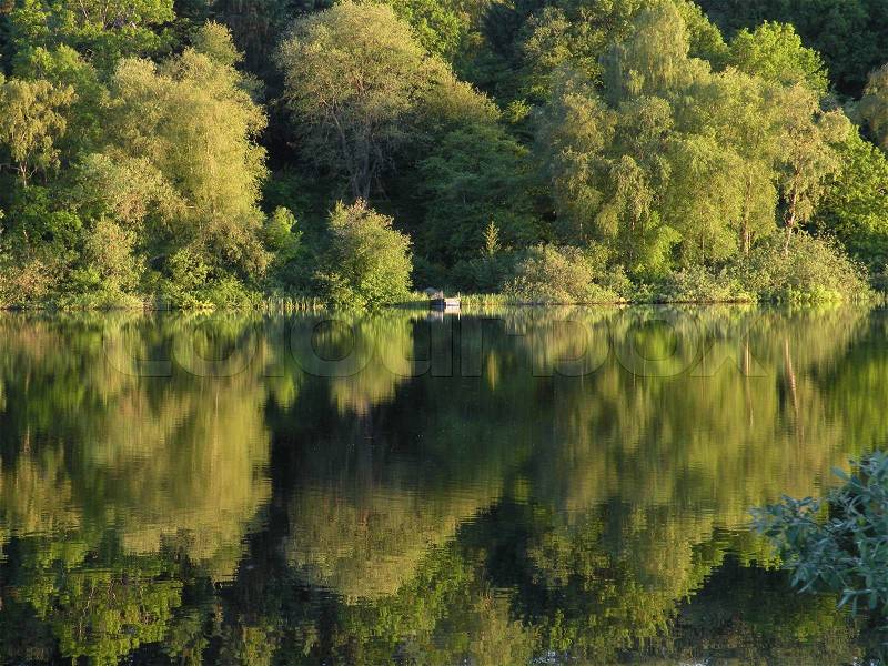 Spring trees mirroring in water at lake shore, stock photo