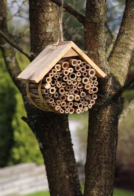 Wooden bug hotel for insects hanging in garden tree, stock photo