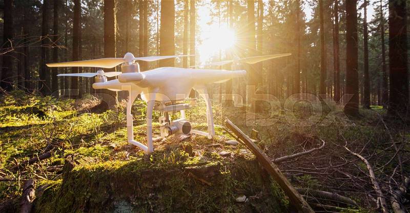 Drone on a tree stump in the deep forest with bright sunlight in the background. ideal for websites and magazines layouts, stock photo