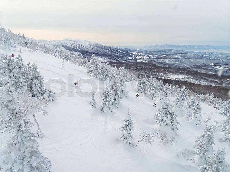 Skiing on snow monster hill northeast of Japan, stock photo