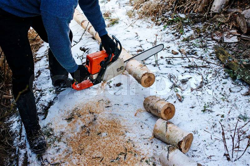 Process of sawing log by chainsaw in the winter , stock photo