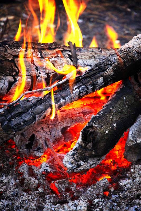 Close-up wooden campfire with burning coals, stock photo