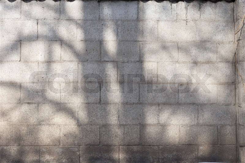 The shadow of the trees is reflected on the brick wall, stock photo
