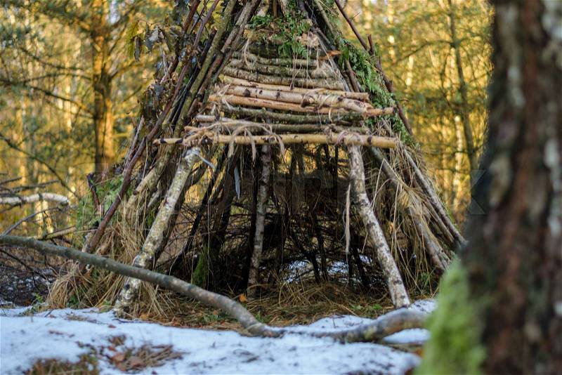 Shelter made of branches in the forest, stock photo