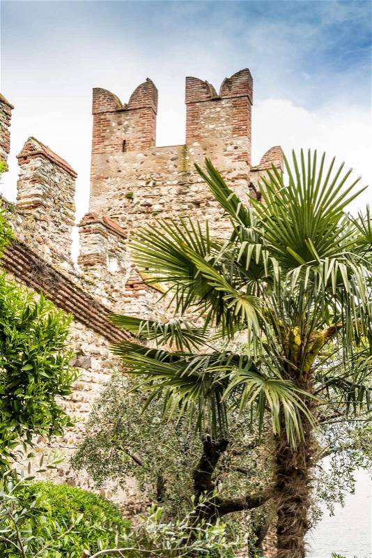 Palm tree and a city wall in Sirmione (Italy), stock photo