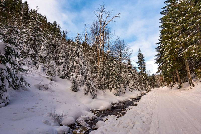 Snow covered road along the path through forest. beautiful nature scenery in winter. location Synevyr National Nature Park, Ukraine, stock photo