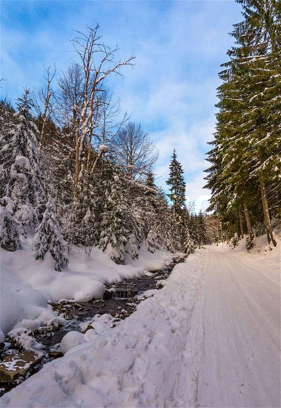 Snow covered road along the path through forest. beautiful nature scenery in winter. location Synevyr National Nature Park, Ukraine, stock photo