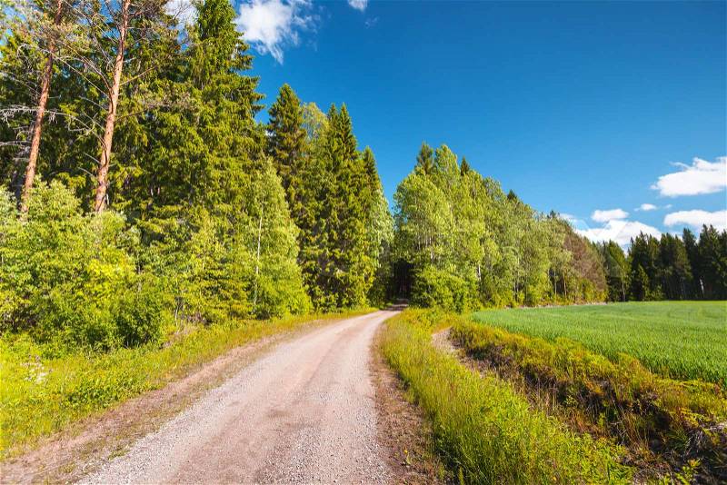 Turning empty rural road goes near green field under blue sky in bright summer day. Empty landscape background photo, Finland, stock photo
