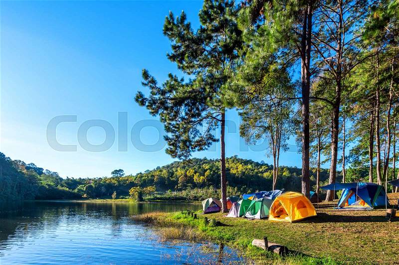 Camping tents under pine trees with sunlight at Pang Ung lake, Mae Hong Son in Thailand, stock photo