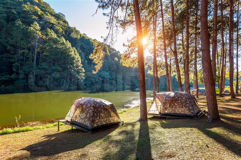 Camping tents under pine trees with sunlight at Pang Ung lake, Mae Hong Son in THAILAND, stock photo