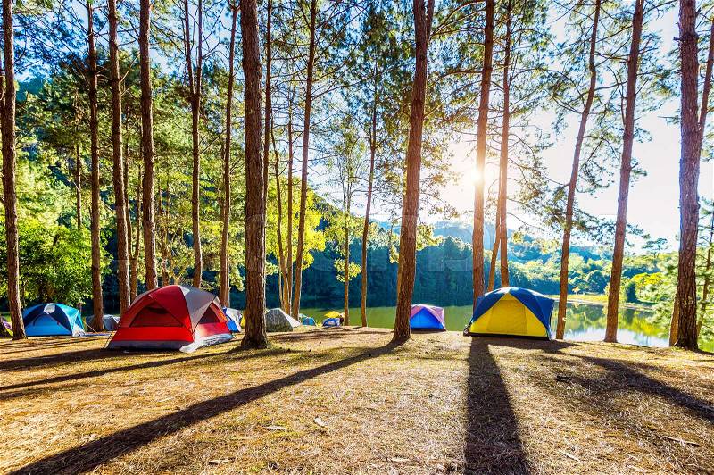 Camping tents under pine trees with sunlight at Pang Ung lake, Mae Hong Son in THAILAND, stock photo