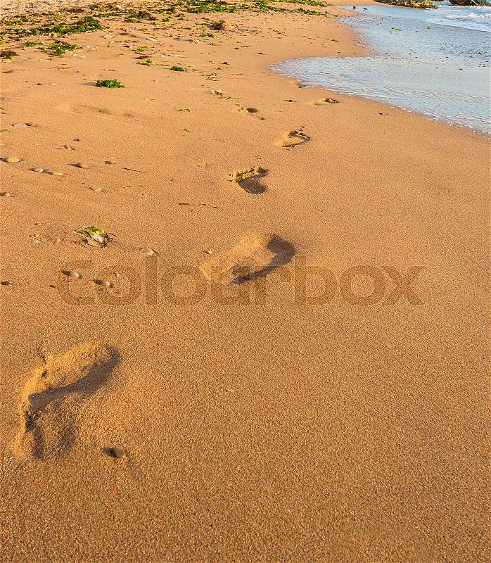 Footprints in the sand beach, Landscapes Extreme tourism and traveling, wave and footsteps, stock photo