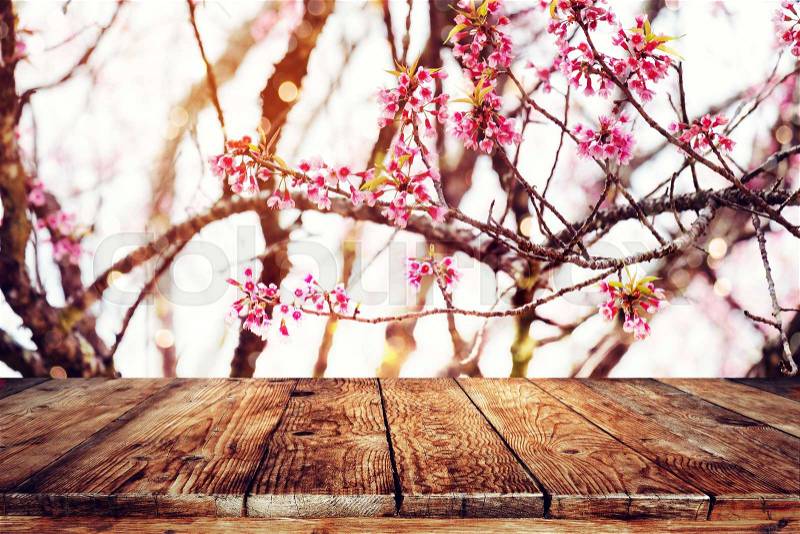 Top of wood table empty ready for your product and food display or montage with pink cherry blossom flower (sakura) on sky background in spring season. vintage color tone, stock photo