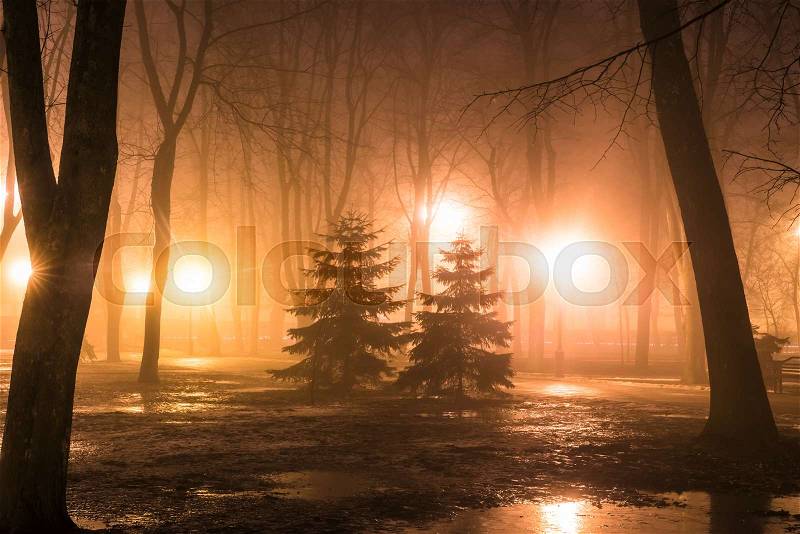 Fog in the city park at night by the light of street lamps during the thaw, stock photo