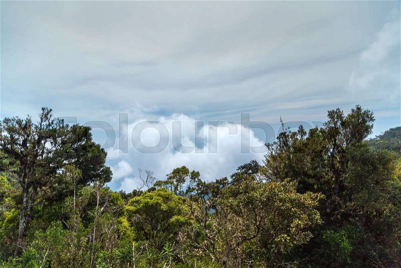 Landscape Hills Horton Plains National Park, Central highlands, Sri Lanka, stock photo