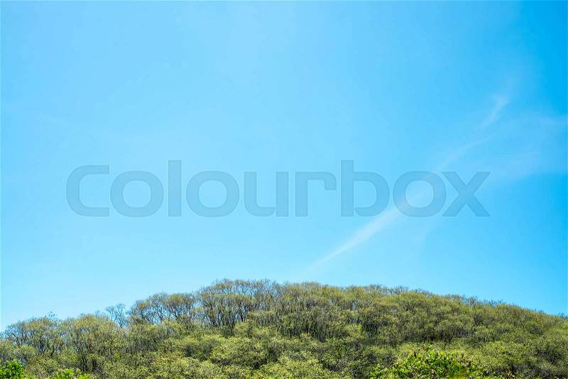 Top of mountain with clear blue sky,Leave space for your content, stock photo