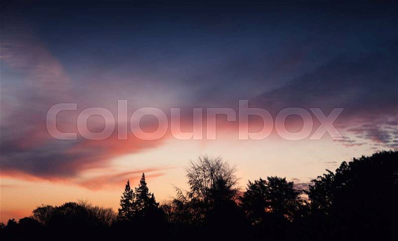 Colorful sunset over dark forest silhouette, natural background photo, stock photo