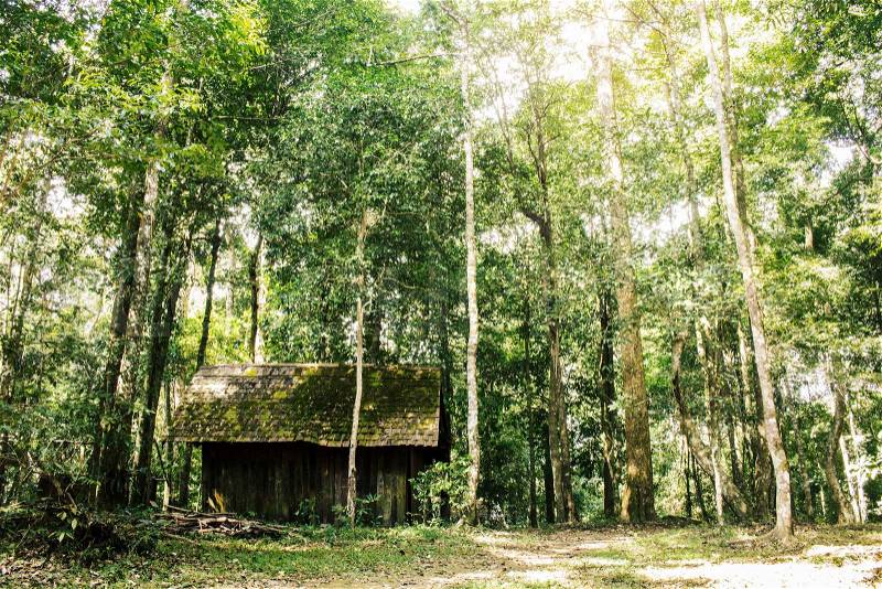 Wooden house of military in forest, stock photo