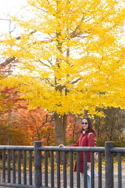 Beautiful Asian women are smiling under the big maple tree.Women traveling in Japan, stock photo