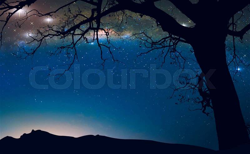 The milky way in the night sky and dead tree, Fantasy landscape background, stock photo