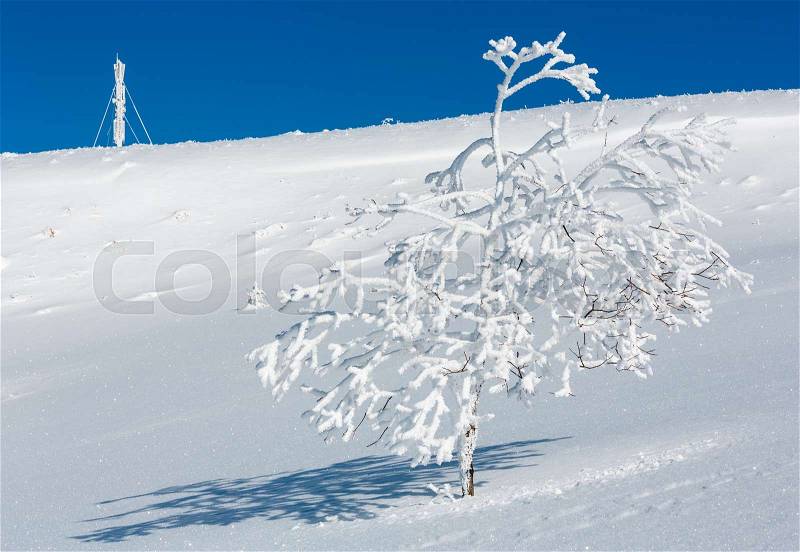 Beautiful winter rime frosting trees, communication tower and snowdrifts on mountain top on blue sky background (Carpathian mountain, Ukraine), stock photo