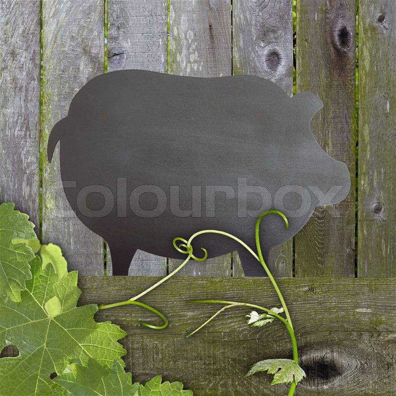Black Chalkboard Pig Restaurant Menu Advertising Space Over Distressed Grunge, Vintage Aged Green Moss Covered Wood Background With Grape Leaves And Tendrils, stock photo