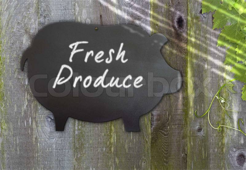 Fresh Bushel Of Apples & Black Chalkboard Pig Restaurant Menu Advertising Space For Fresh Procude Over Distressed Grunge, Vintage, Aged And Green Moss Covered Wood Background Framed With Grape Leaves And Tendrils, stock photo