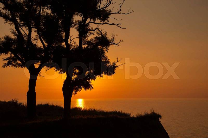 Dawn on the sea. The sun rises behind two tree’s silhouette, stock photo