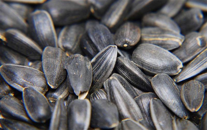 Black seeds, stock photo