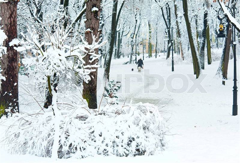 Snowbound trees and old woman in winter city park dull day, stock photo